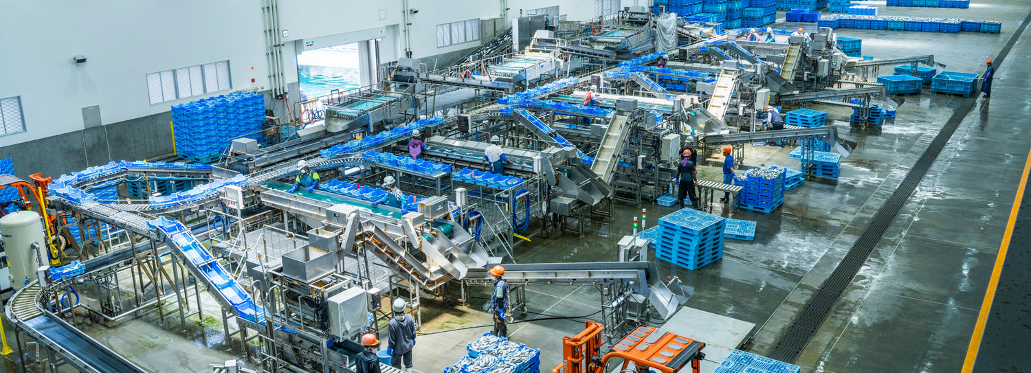 松 浦魚市場内には、エンマキグループの水産加 工場があります。この施設は、衛生管理の国 際規格、HACCP（ハサップ）認定を受けて おり、水揚げされた魚は、衛生的な施設内で、 最新の機械設備に加え、熟練のスタッフによ る手作業によって、即座に魚の種類・サイ ズが選別されます。